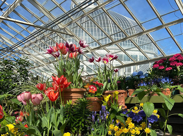 Top Things to Do in March in New York State