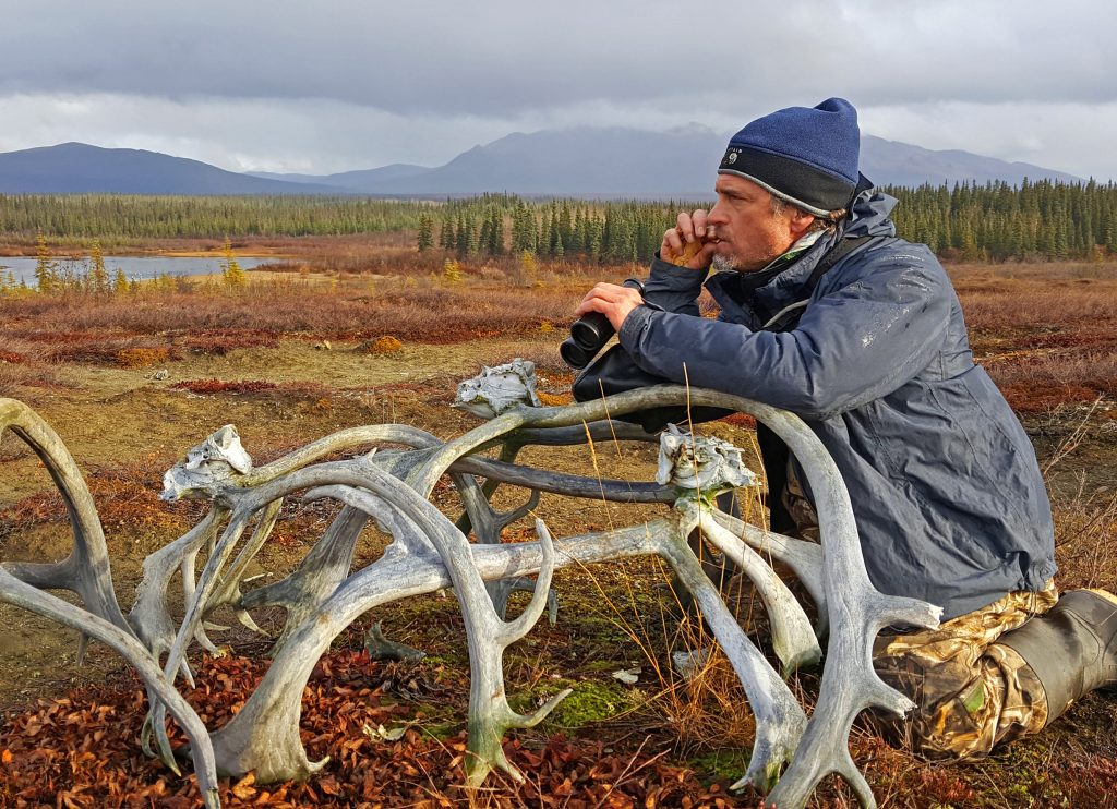 Alaska Magazine | No Caribou