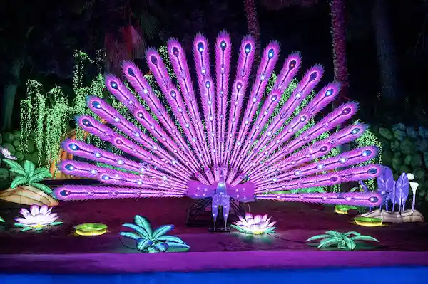 Ring In The New Year At L.A. Zoo Lights: Animals Aglow