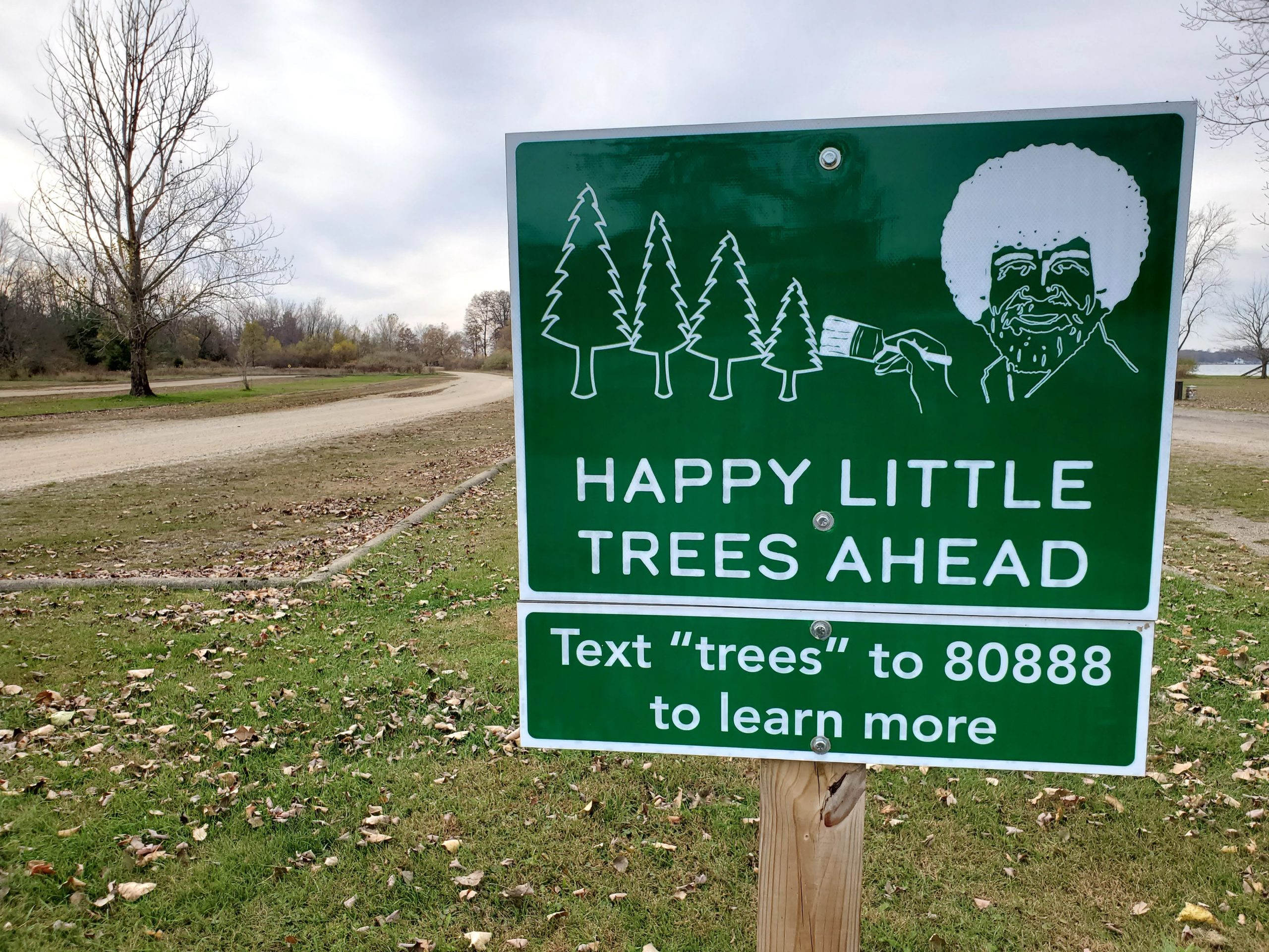 This Bob Ross Inspired 5K Helps Plant Happy Little Trees in Michigan State Parks