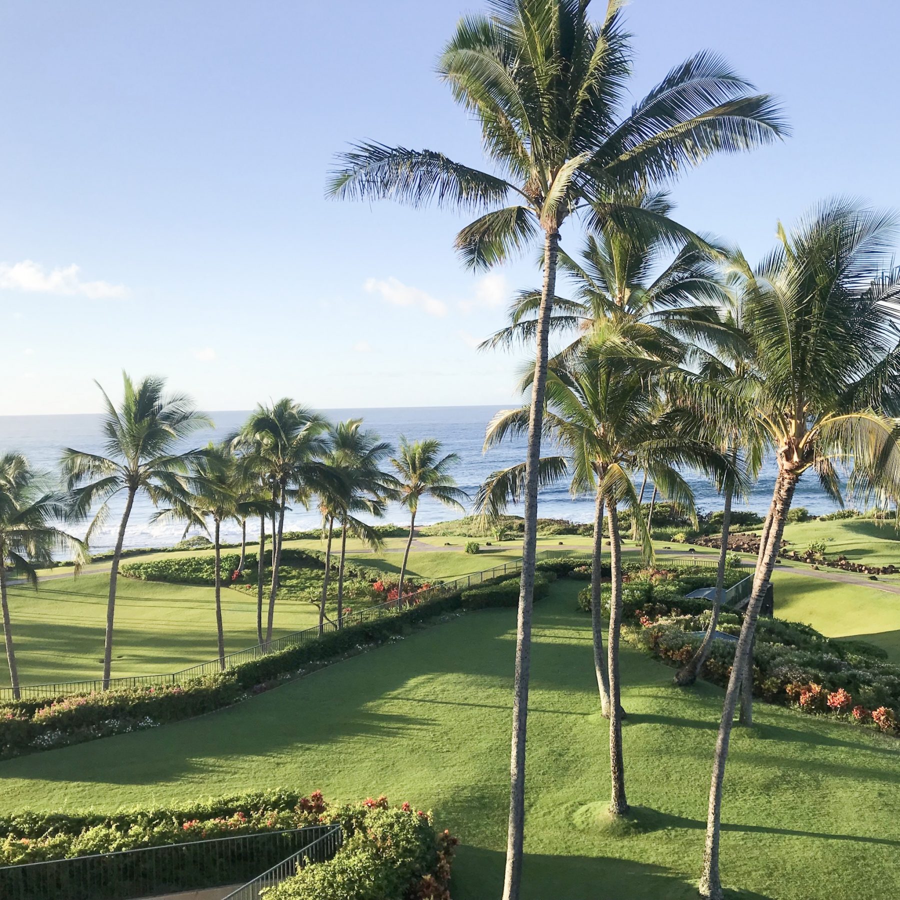 The Grand Hyatt Kauai With Kids