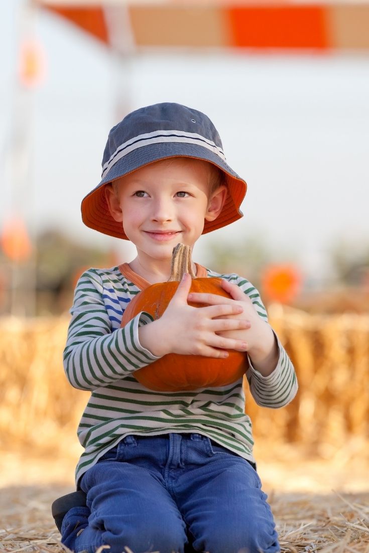 Best Halloween Pumpkin Patches In Los Angeles – 2020 List