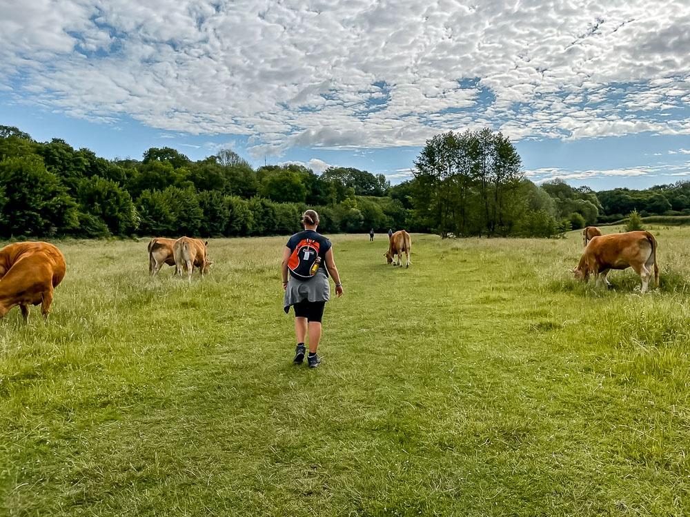 5 Reasons to Visit South Limburg | Who said The Netherlands is flat?