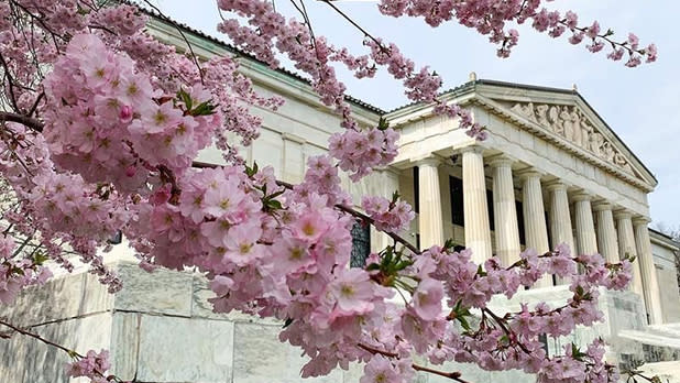 Things to Do this April in New York State