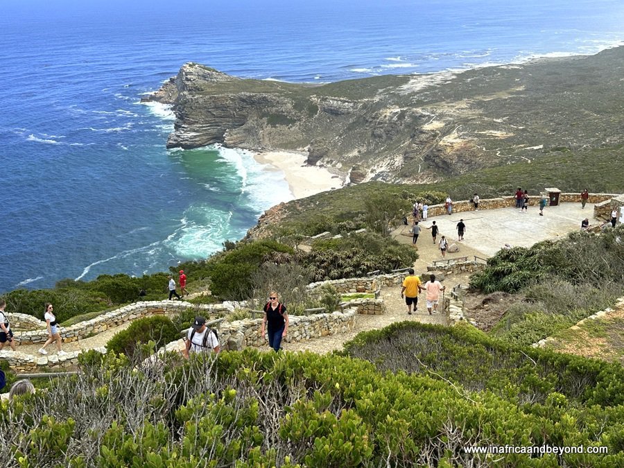 11 best things to do in Cape Point