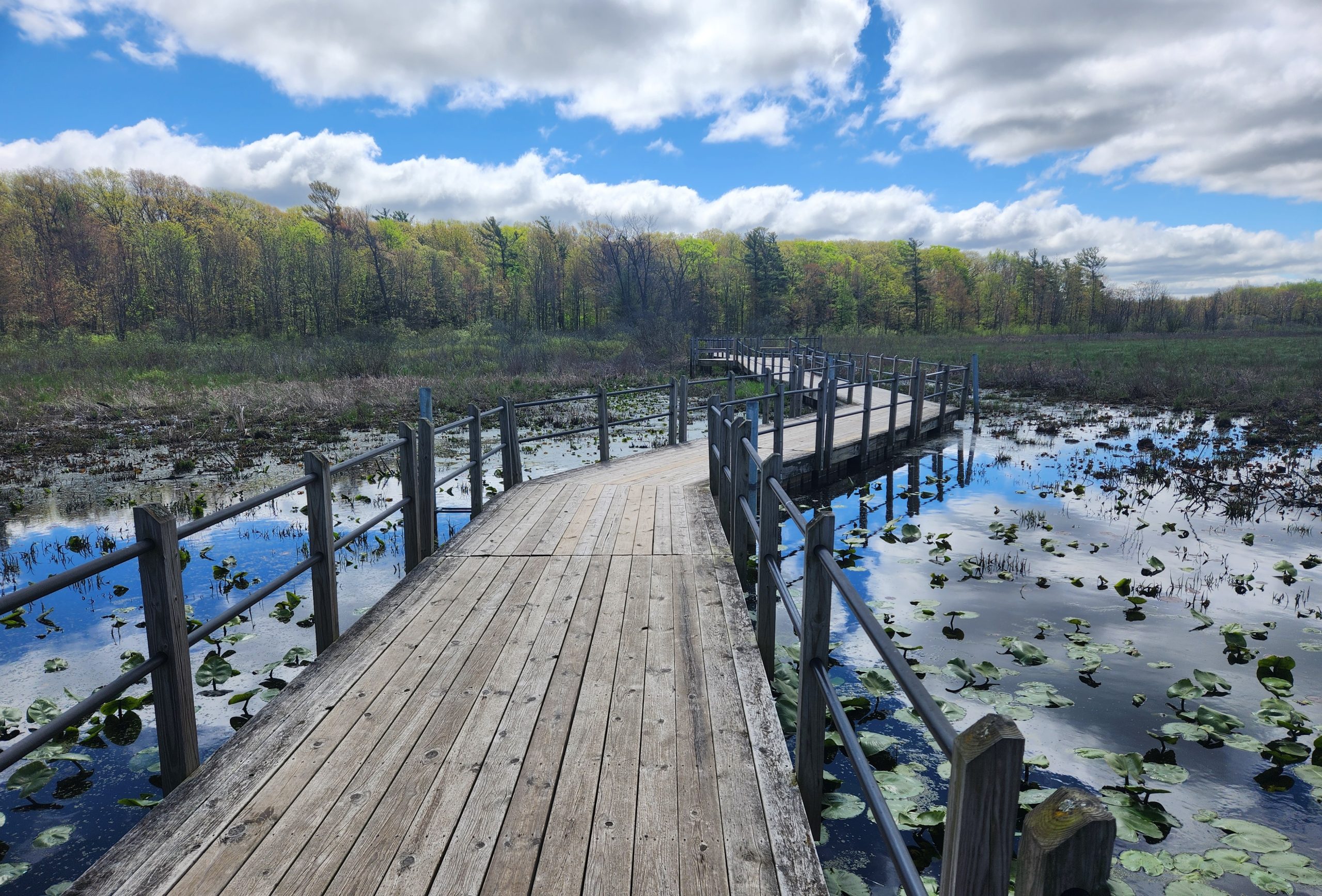 Michigan Wildlife Watching: Hofma Preserve in Grand Haven