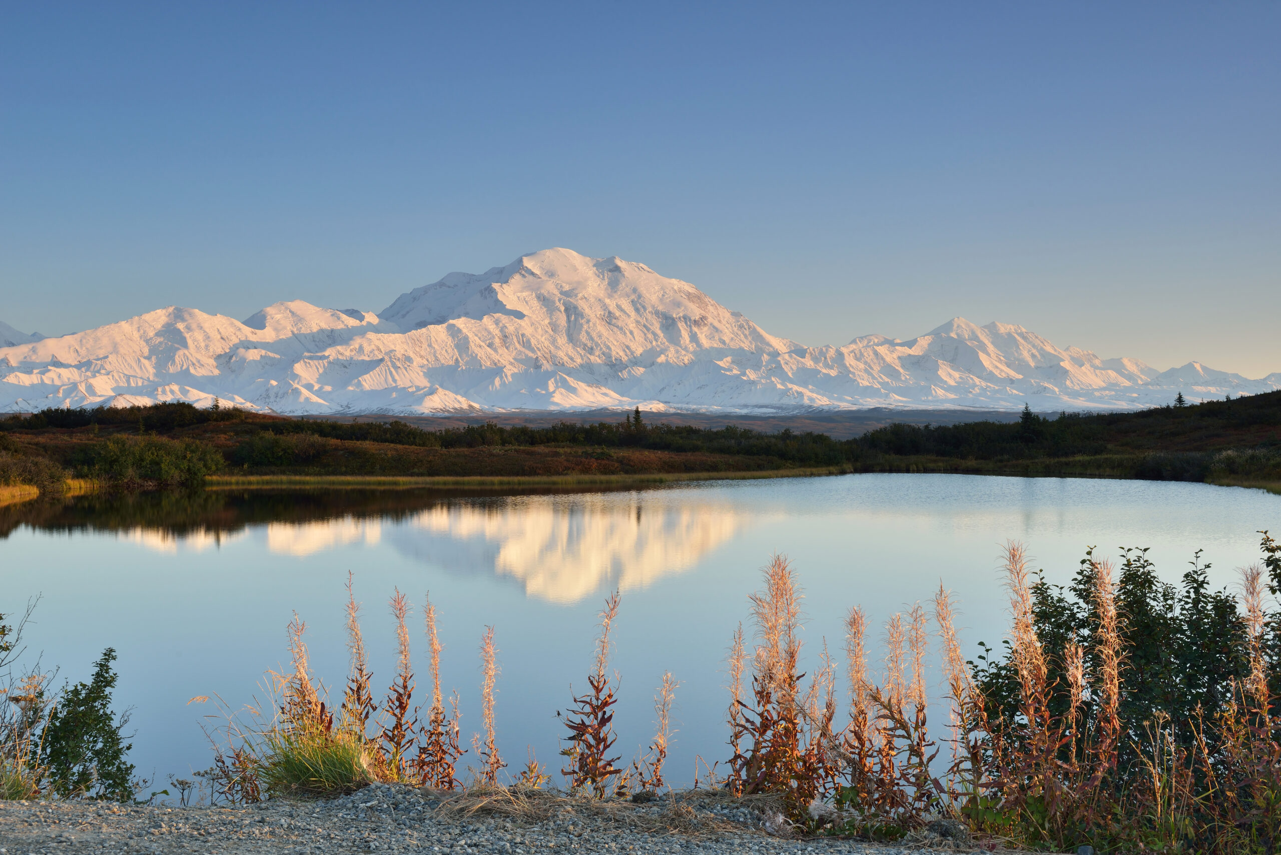 10 Best Things To Do in Denali National Park – Princess Lodges