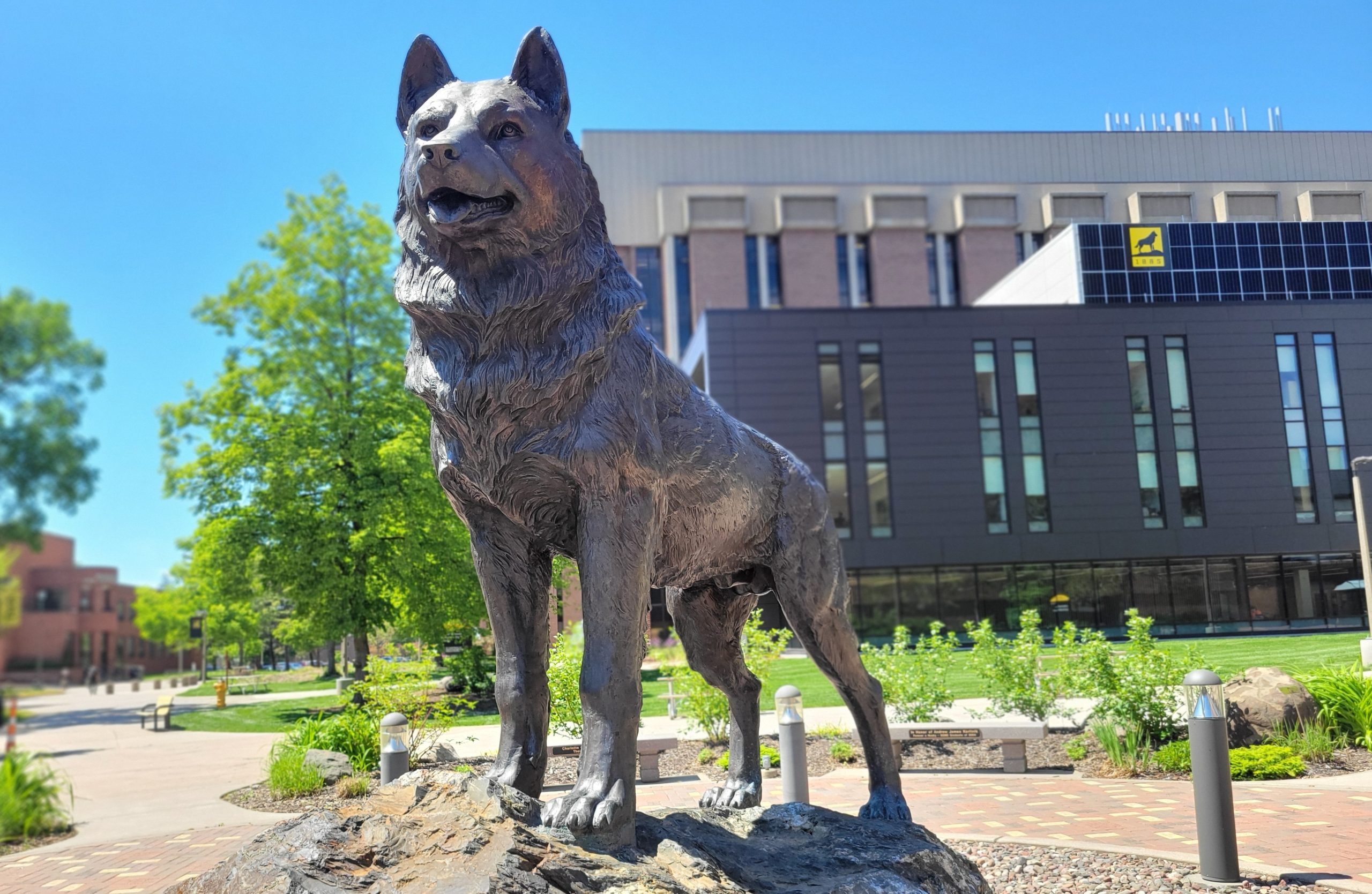 Michigan Roadside Attractions: Michigan Tech Husky Statue