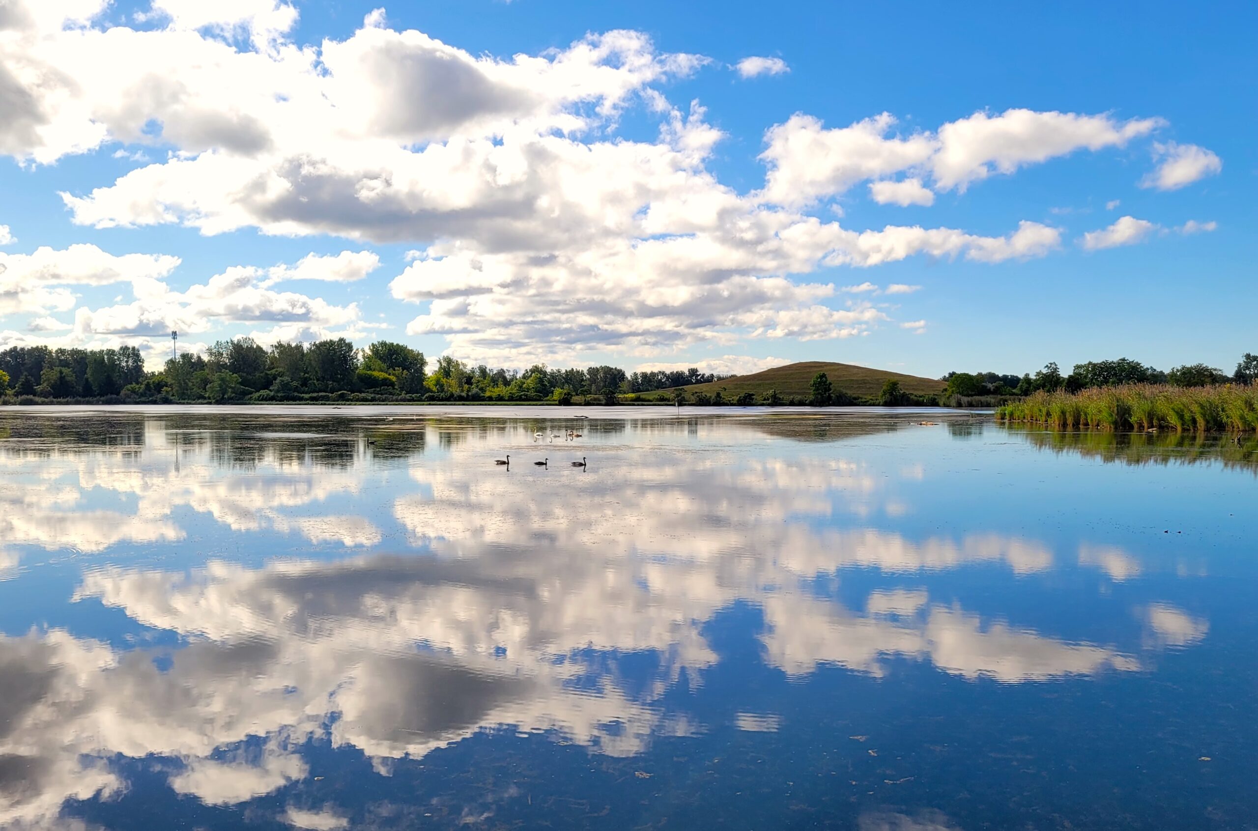 Kettlewell Pond Trail, Port Huron