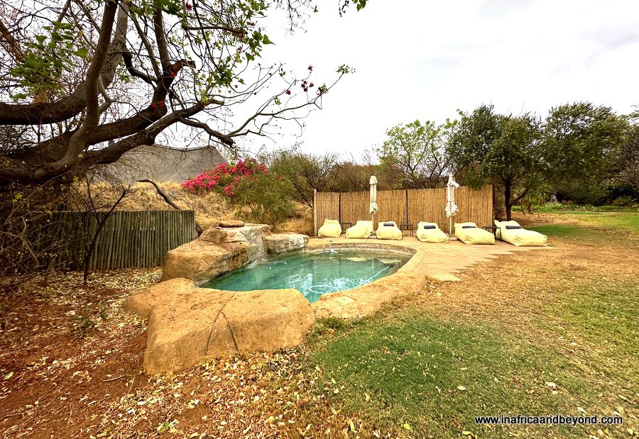 Last Word Madikwe Review – A Five-Star Family Safari