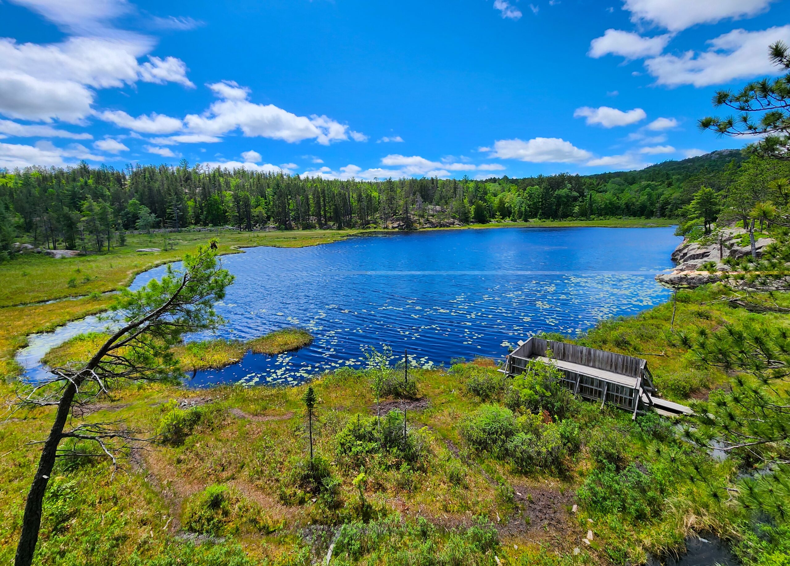 Wetmore Pond Nature Trails, Marquette County