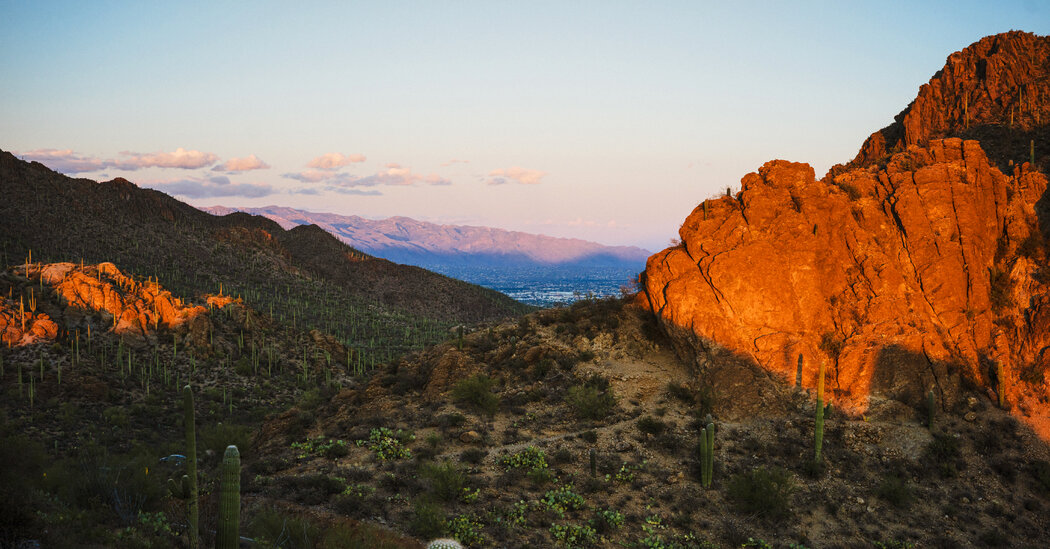 36 Hours in Tucson, Ariz.: Things to Do and See