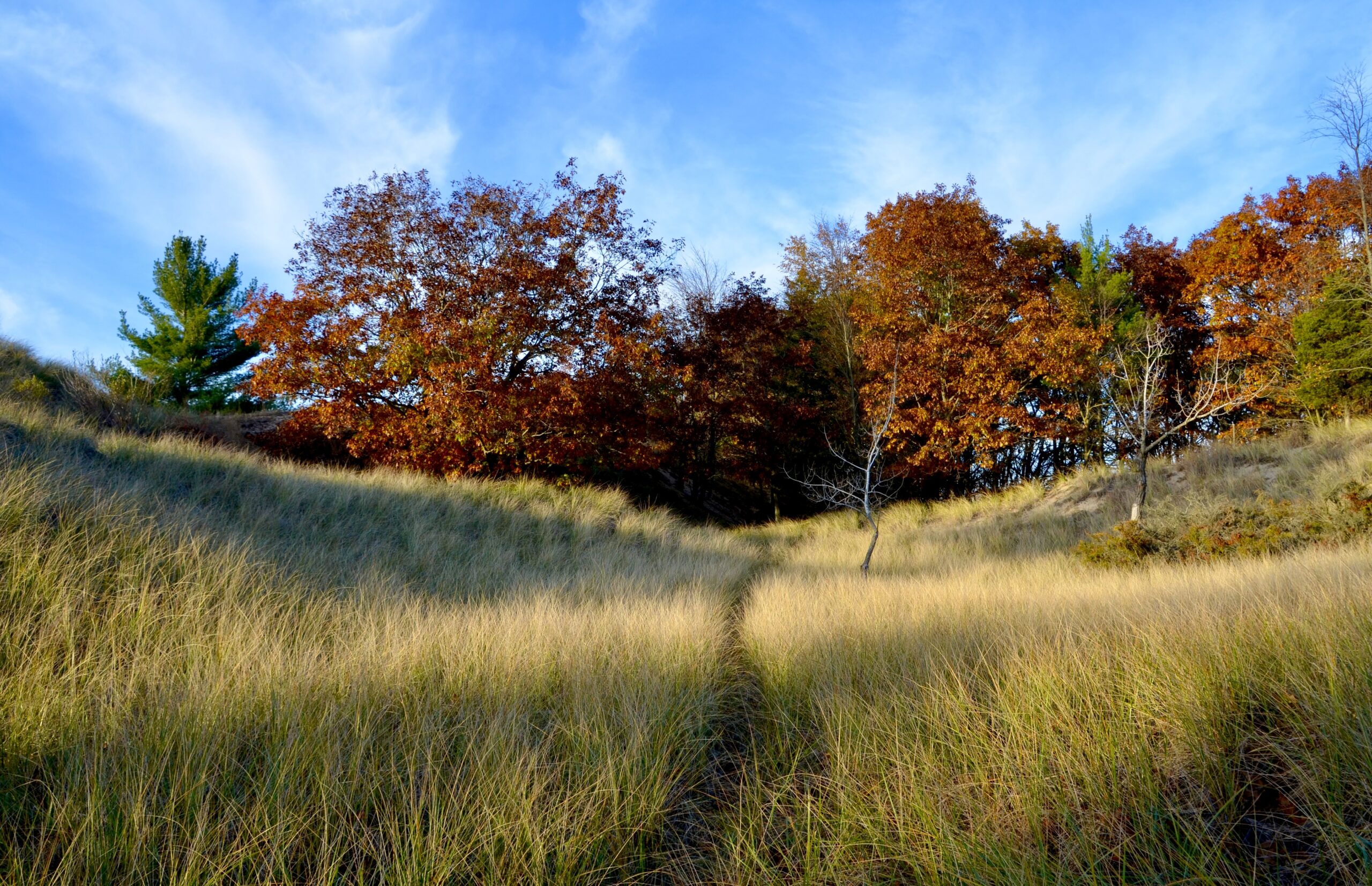 KLH Dunes Preserve, Grand Haven