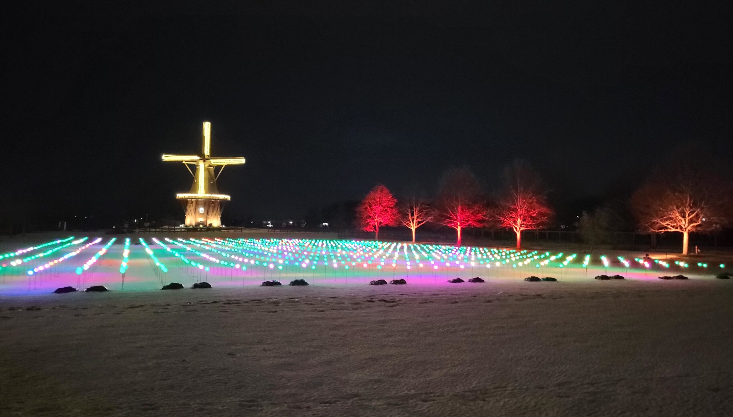 This Christmas Light Show Makes for a Perfect Family Holiday Outing