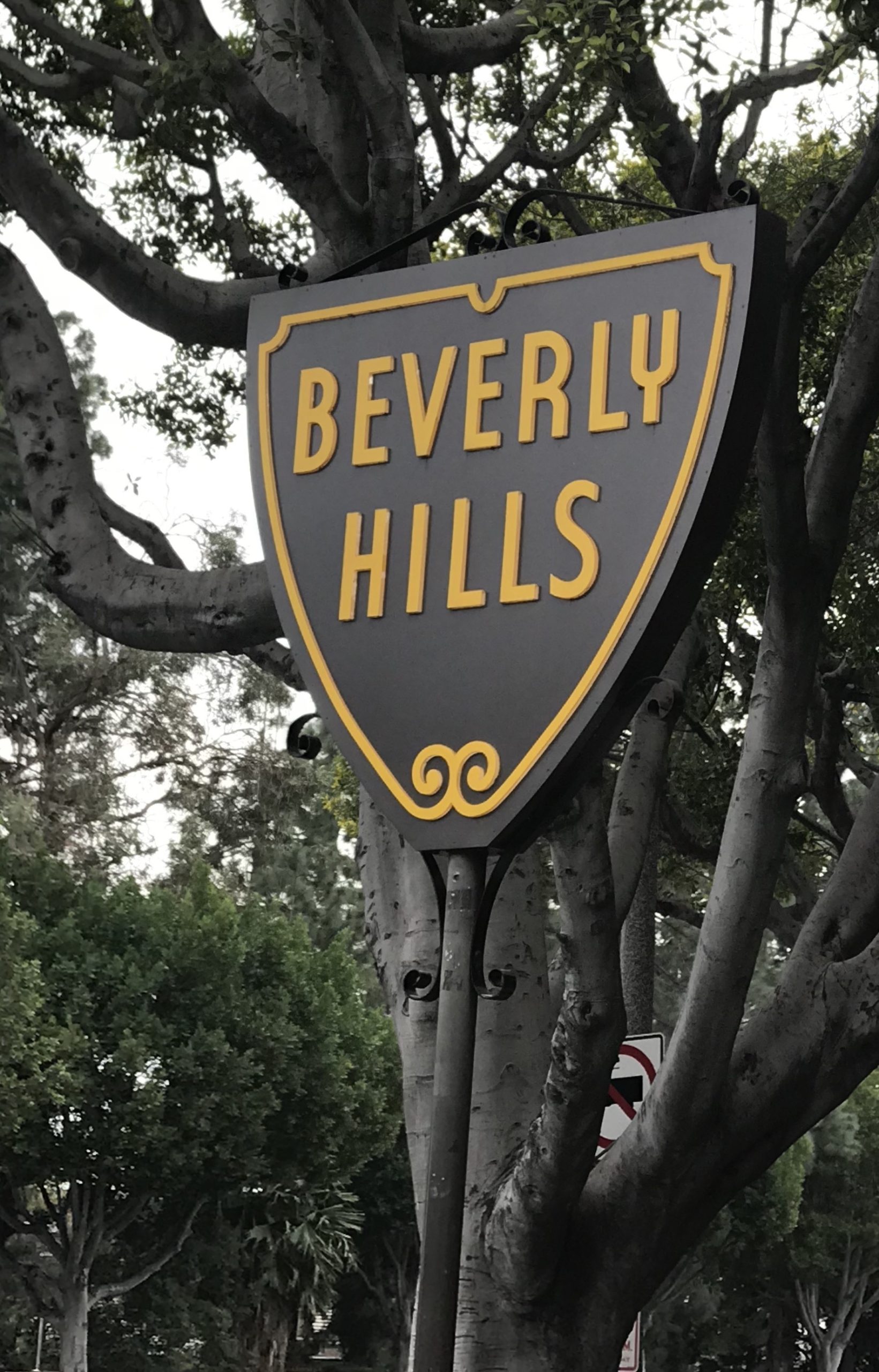 Celebrity Homes and Multi-Million Dollar Properties in Beverly Hills