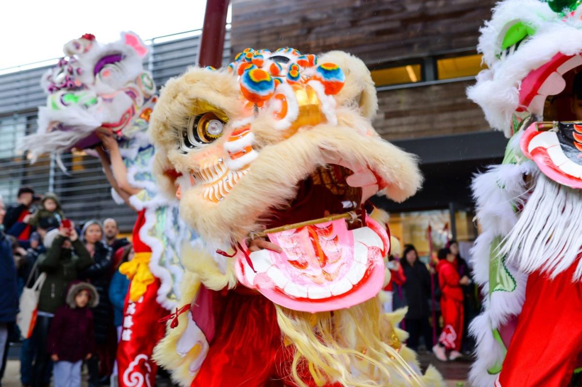 Celebrate the Lunar New Year in New York State
