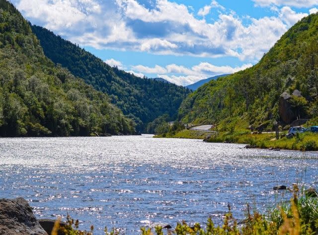 Guide To The Top Things to Do During Summer In New York