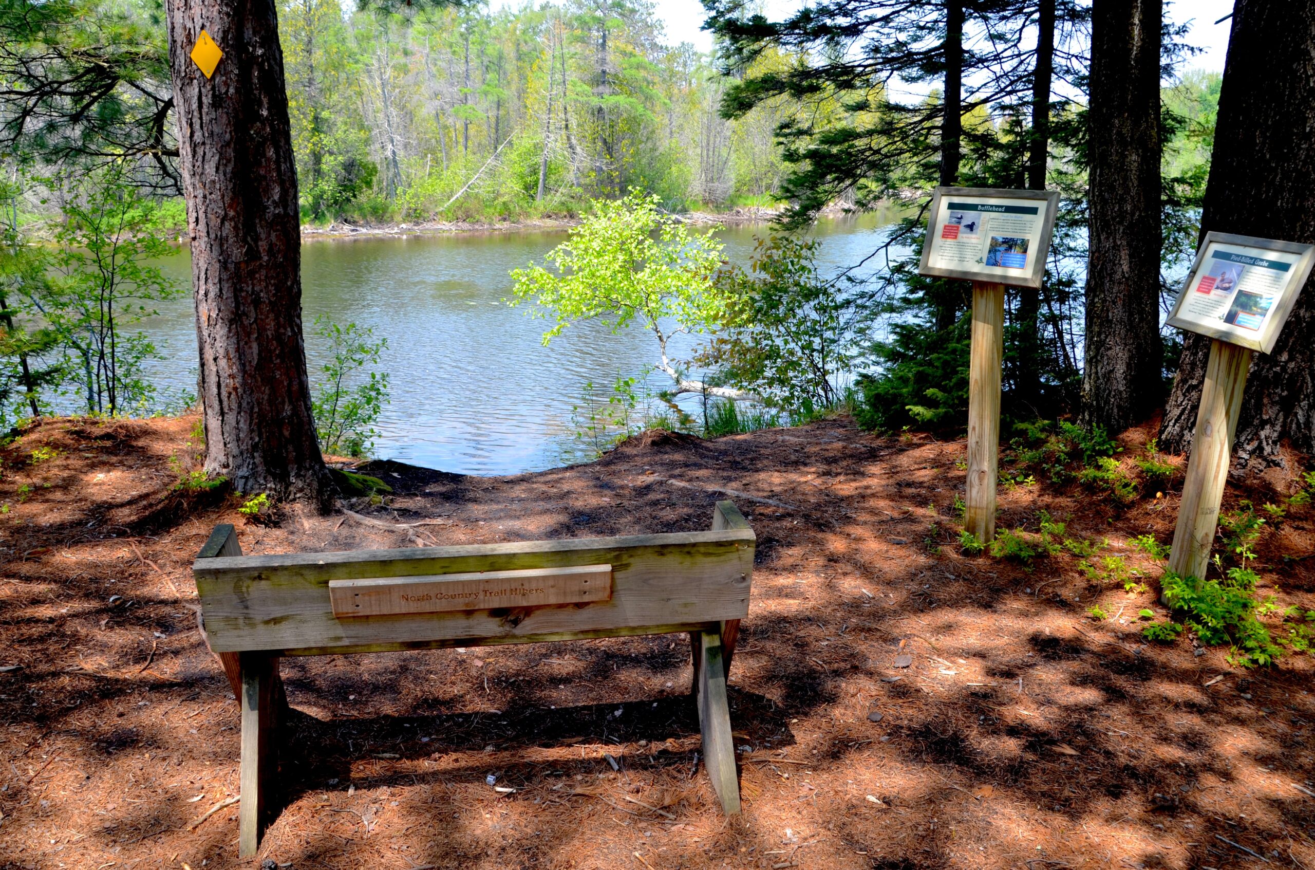 Michigan Trail Tuesday: Chocolay Bayou Preserve, Marquette