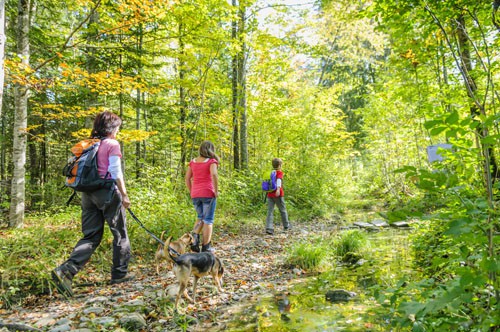 Adventures for All Ages – Princess Lodges