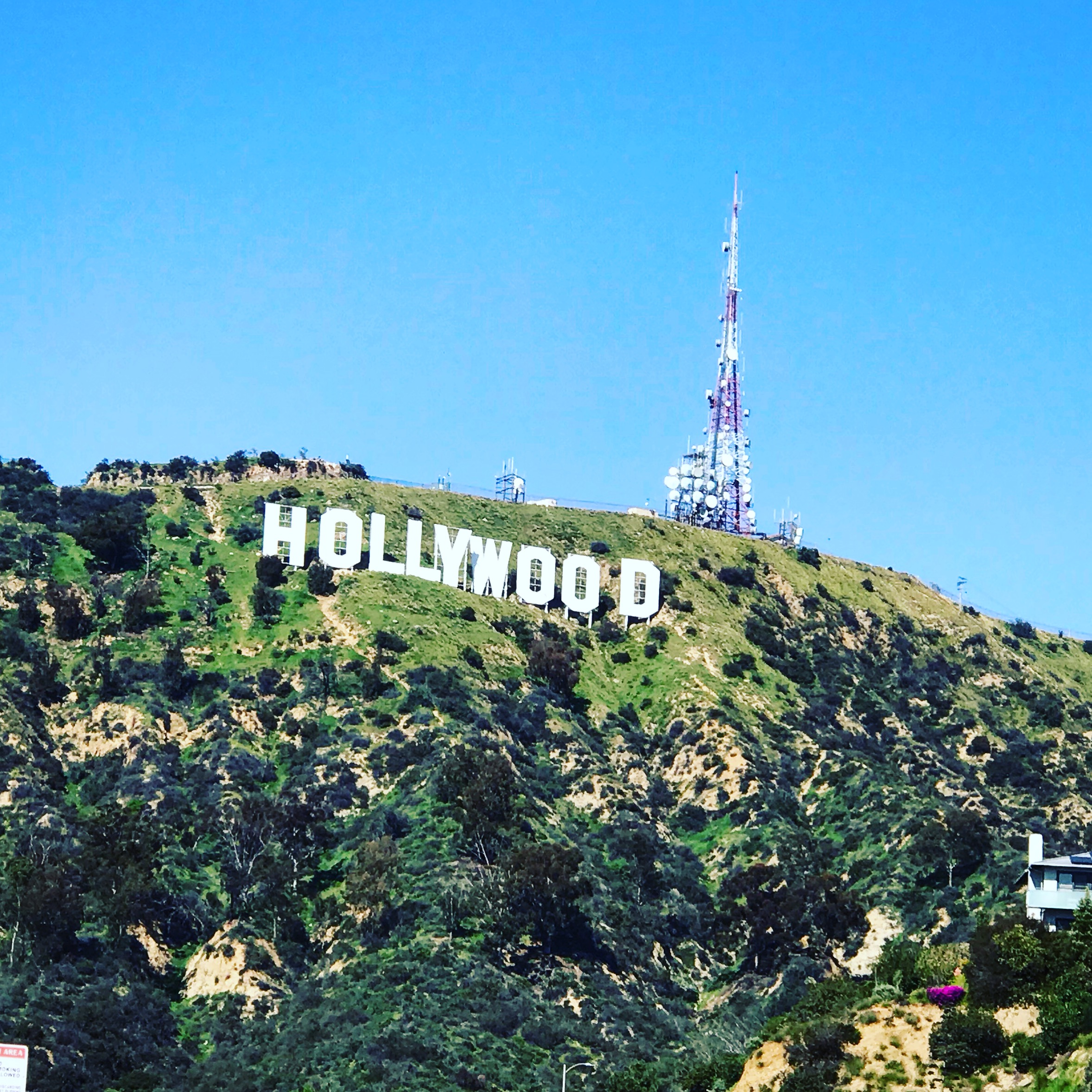 Private Los Angeles Tour Versus Group Tour