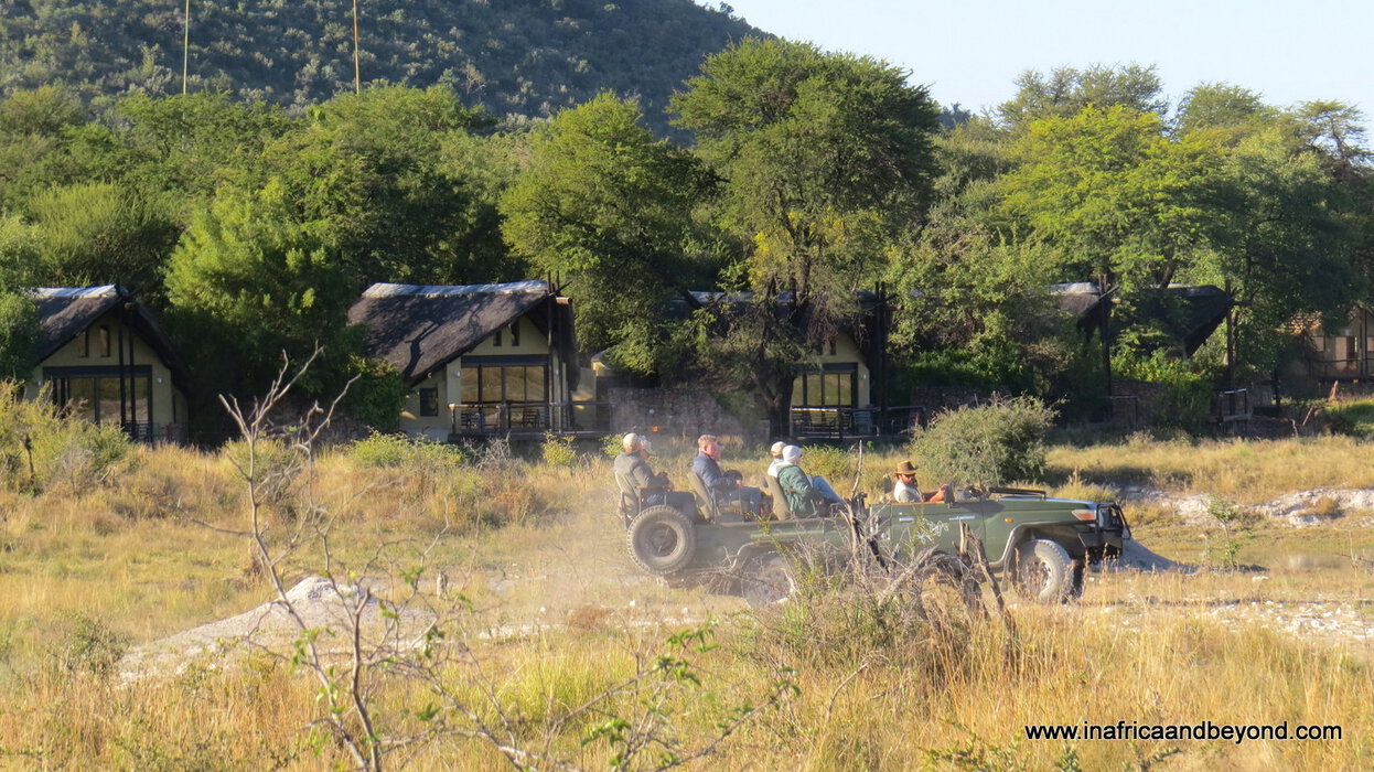 Tau Game Lodge in Madikwe Game Reserve: Where Lions Roam