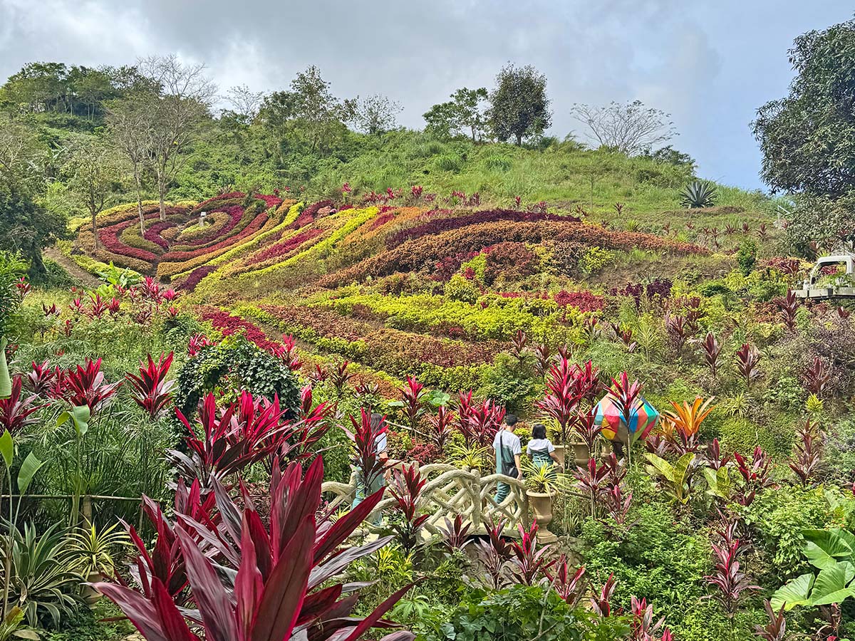 An Odyssey of Tranquility: The Soul Sierra Experience in Babag, Cebu City