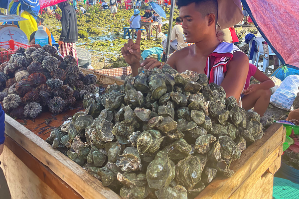 Sea Urchin Food Trip: Affordable Fresh Sea Food in Bonbon, Barangay Catarman, Liloan, Cebu