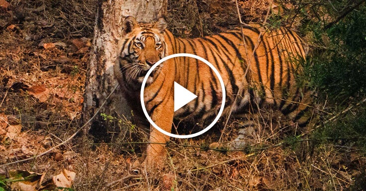 Photographing 52 Places to Go in 2026