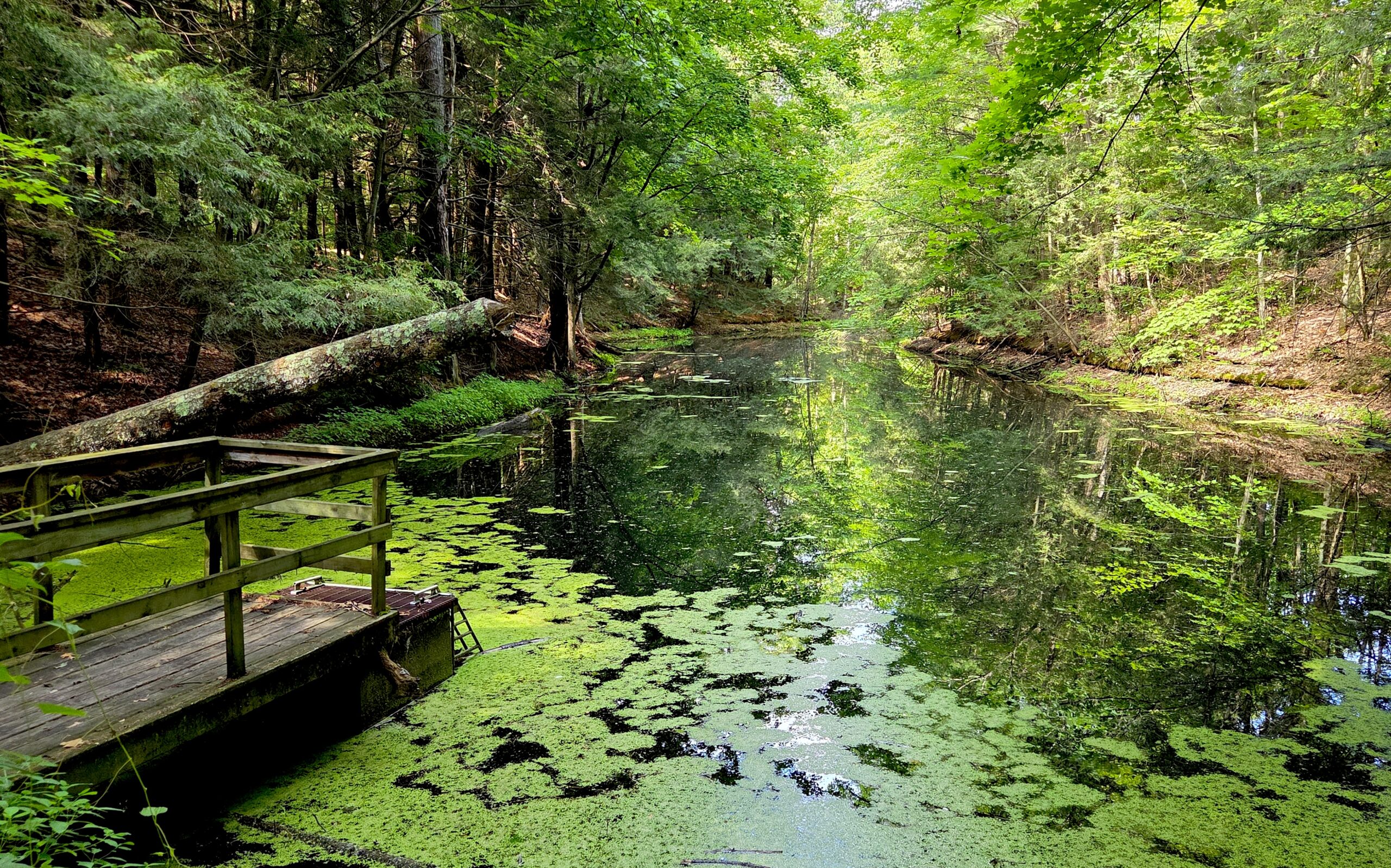 Visit the Beautiful Trails at Clear Springs Nature Preserve in Muskegon County