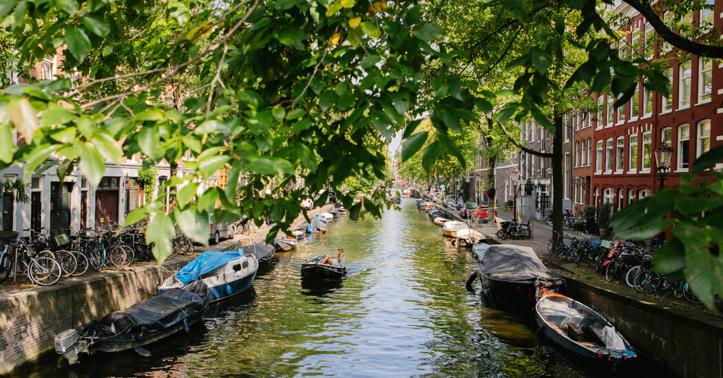 Amsterdam Travel Guide: What to See, Visit and Do