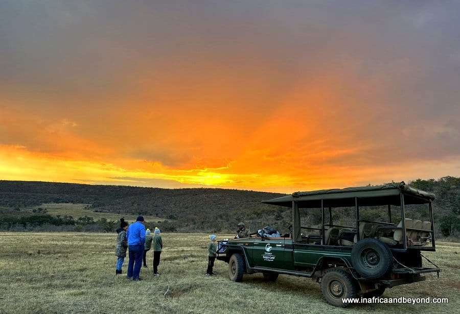 Luxury family safari – 3 Reasons to consider South Africa