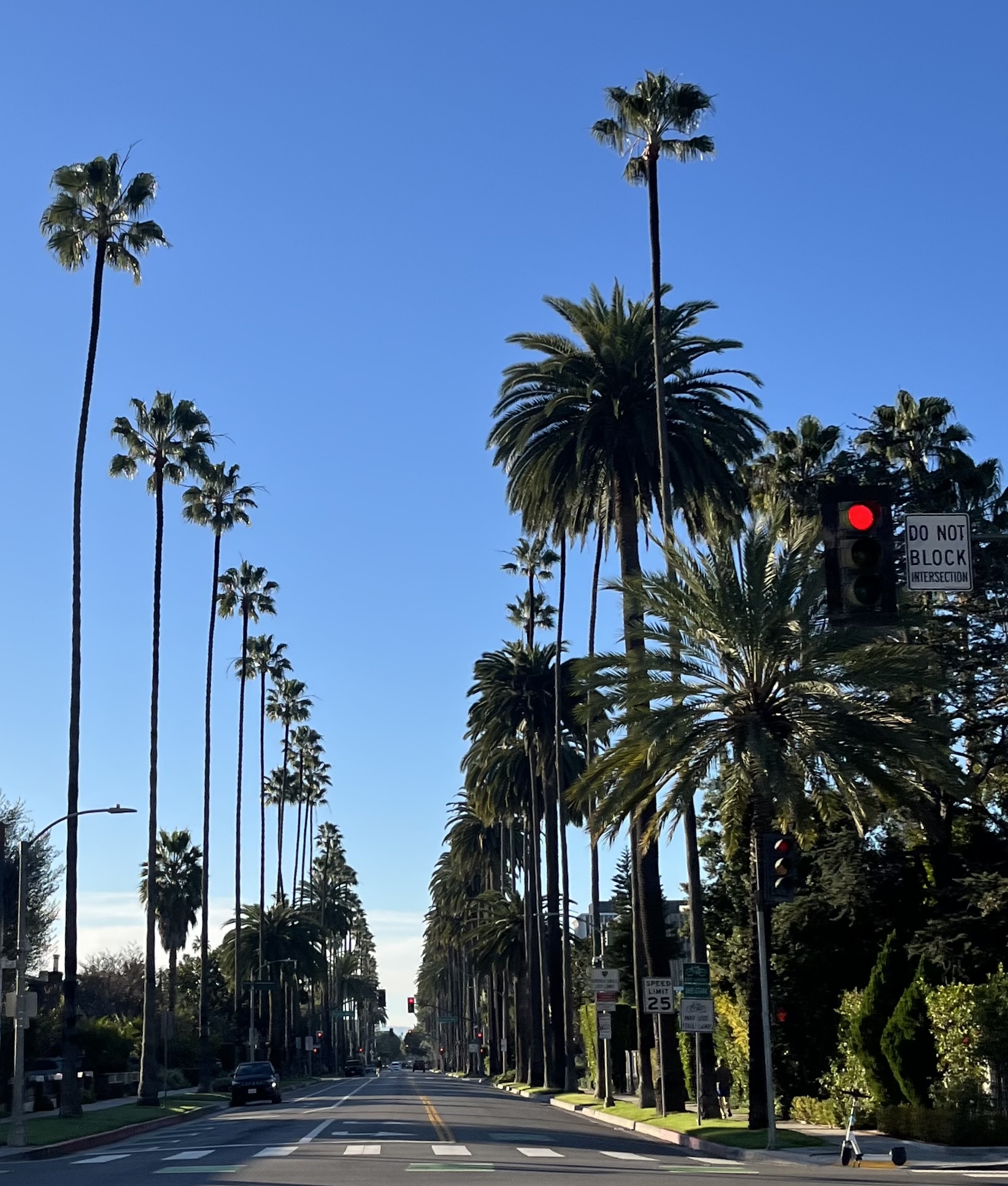 Popular Los Angeles Tours for FIFA World Cup