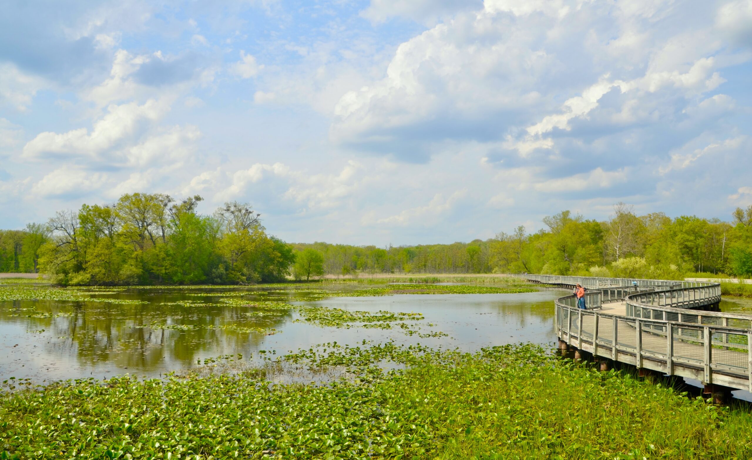 Kensington Metropark Is One Of Michigan’s Best Birdwatching Locations