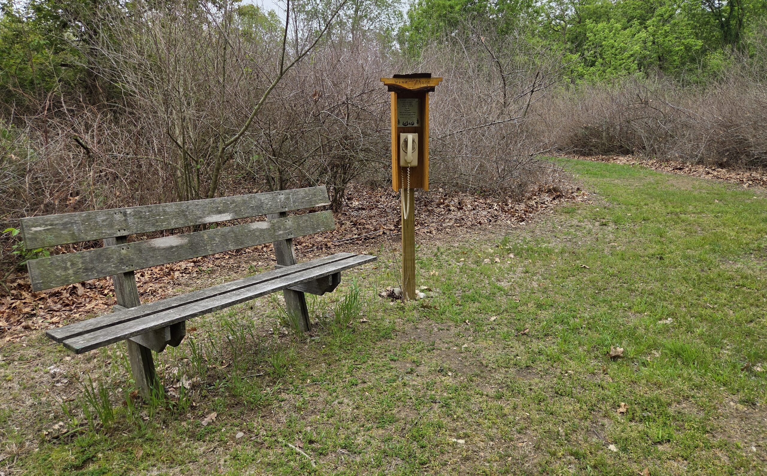 Lehman Nature Trails at Montcalm Community College
