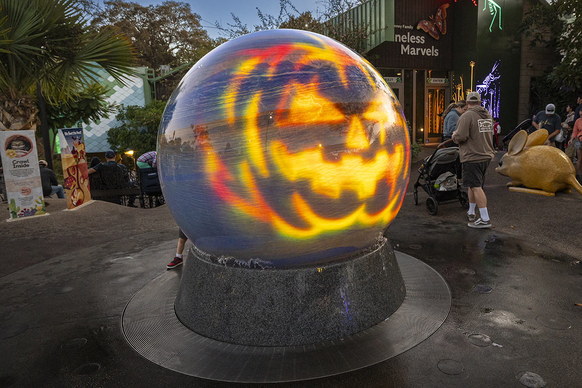 San Diego Zoo Halloween Dates & Kids Free