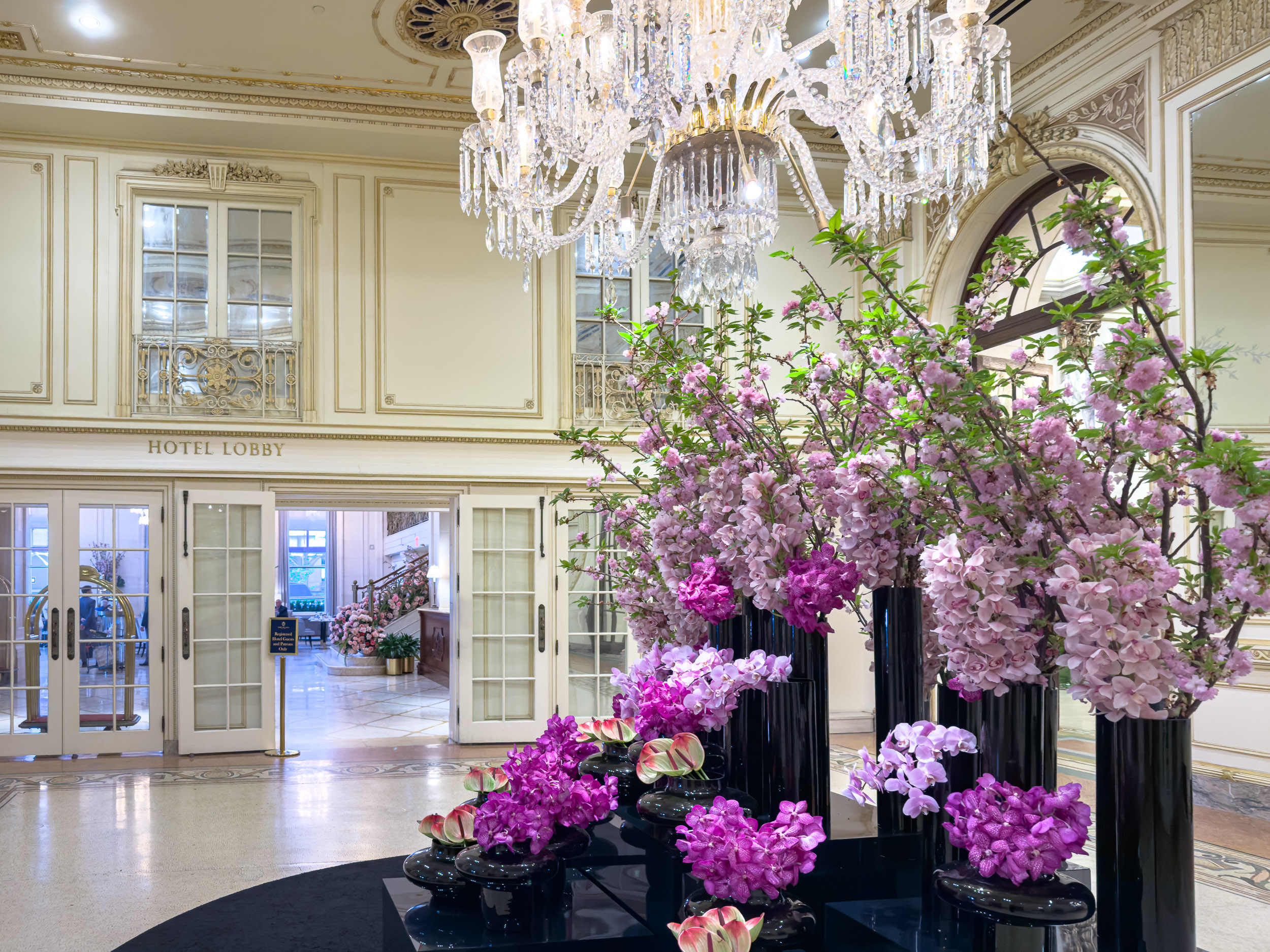 The Plaza Hotel New York Review + Book With VIP Benefits